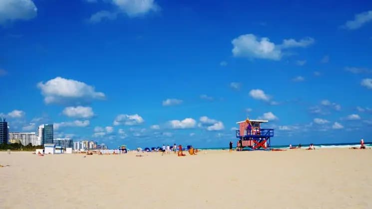 Miami y Orlando - Imagen 3