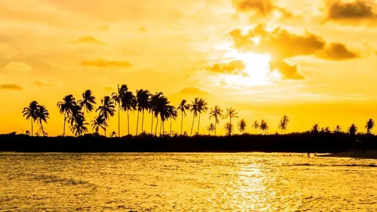 Porto de Galinhas, Pernambuco - Nordeste - Imagen 9