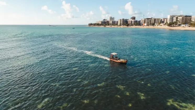 Maceió, Alagoas - Nordeste - Imagen 7